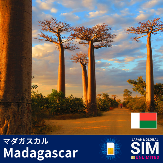 Madagascar+ | DATA UNLIMITED