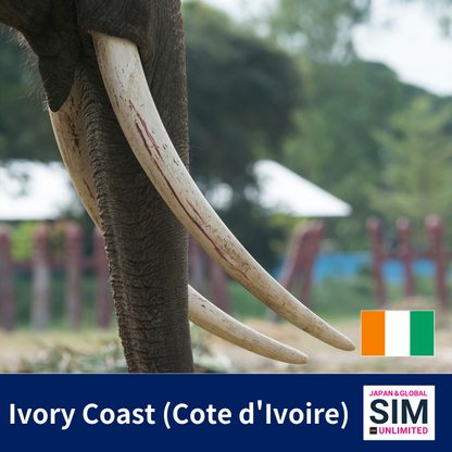 科特迪瓦（科特迪瓦）+ | 数据无限