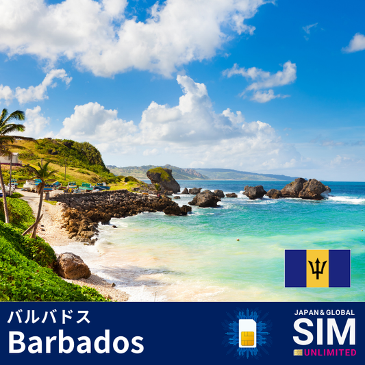 Barbados+ | DATA UNLIMITED