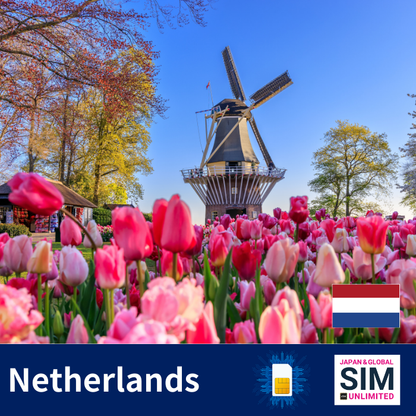 Hollanda+ | SINIRSIZ VERİ