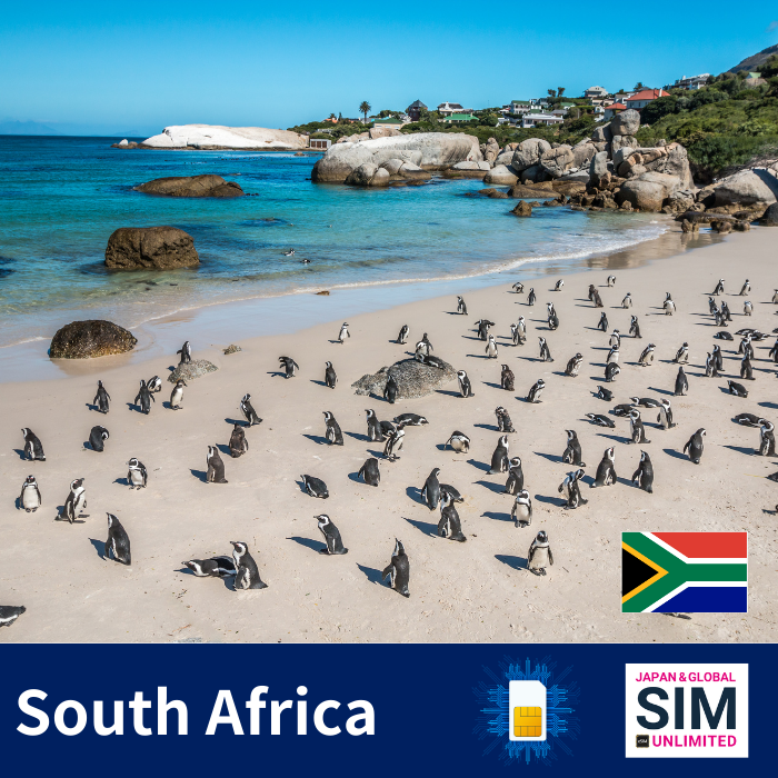 南非+ | 数据无限