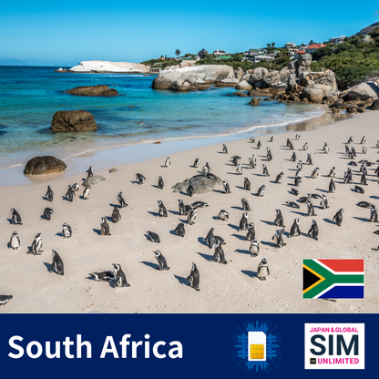 南非+ | 数据无限