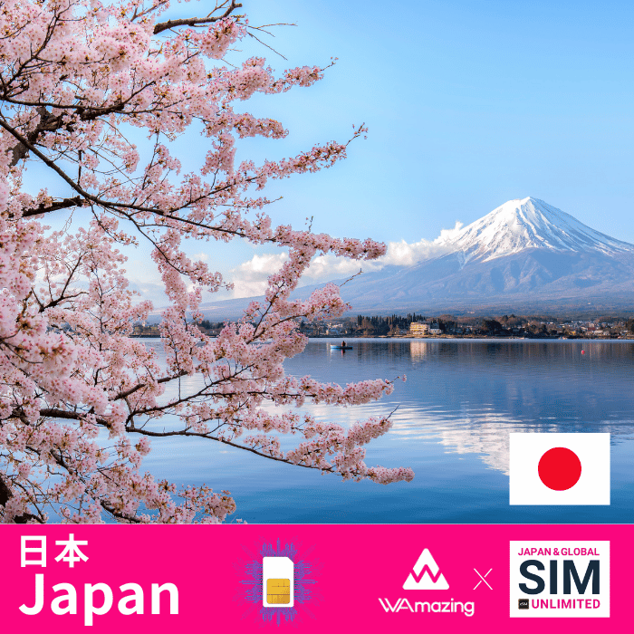 日本 | データ無制限