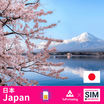 日本 | データ無制限