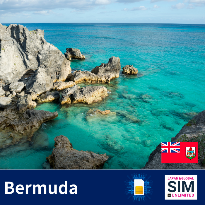 Bermuda+ | DATA TANPA HAD
