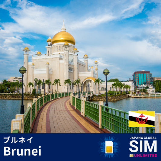 Brunei+ | DATA UNLIMITED