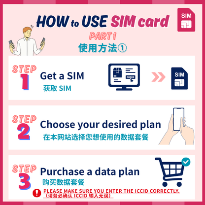 日本 | データ無制限