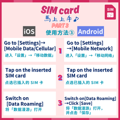 日本 | データ無制限