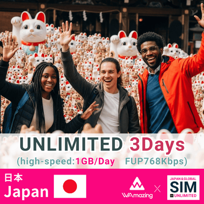 日本 | データ無制限