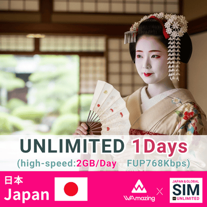 日本 | データ無制限