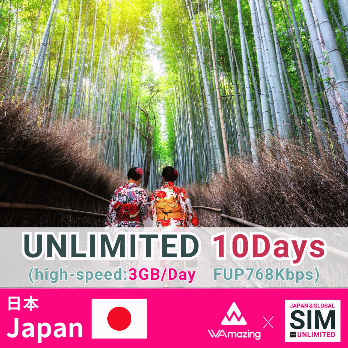 日本 | データ無制限