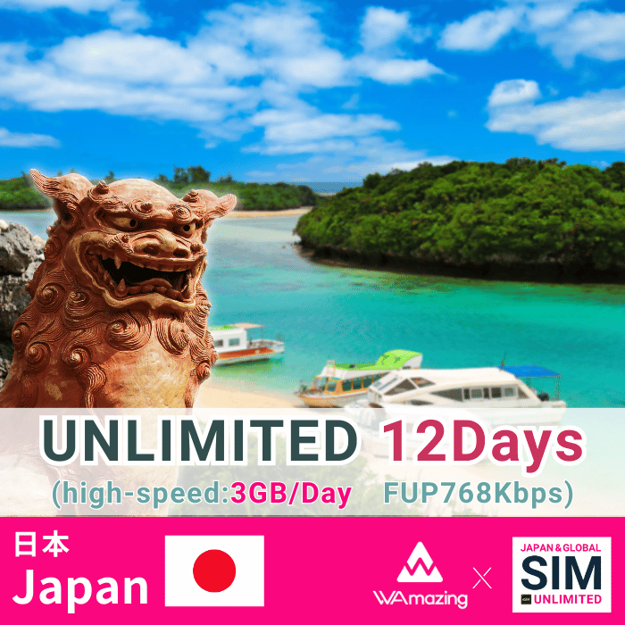 日本 | データ無制限