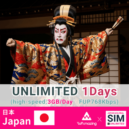 日本 | データ無制限