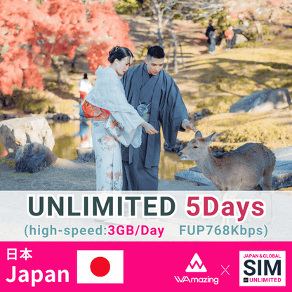 日本 | データ無制限